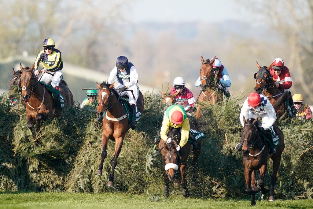 Horse Racing Each Way Betting