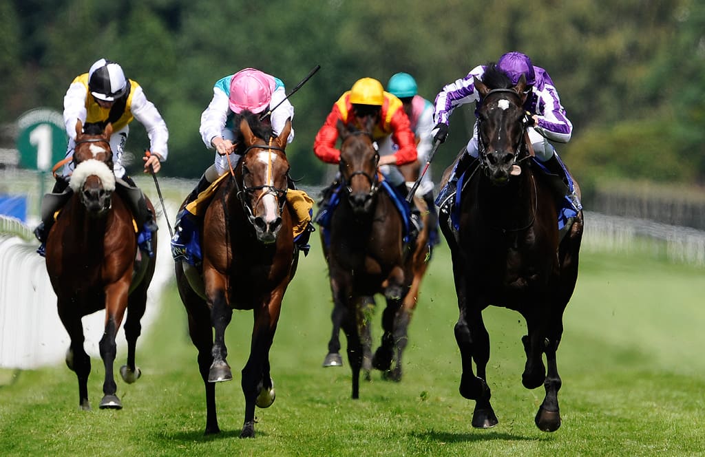 Horse Racing Naps Betting